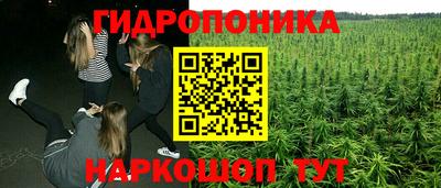 2c-b Гатчина