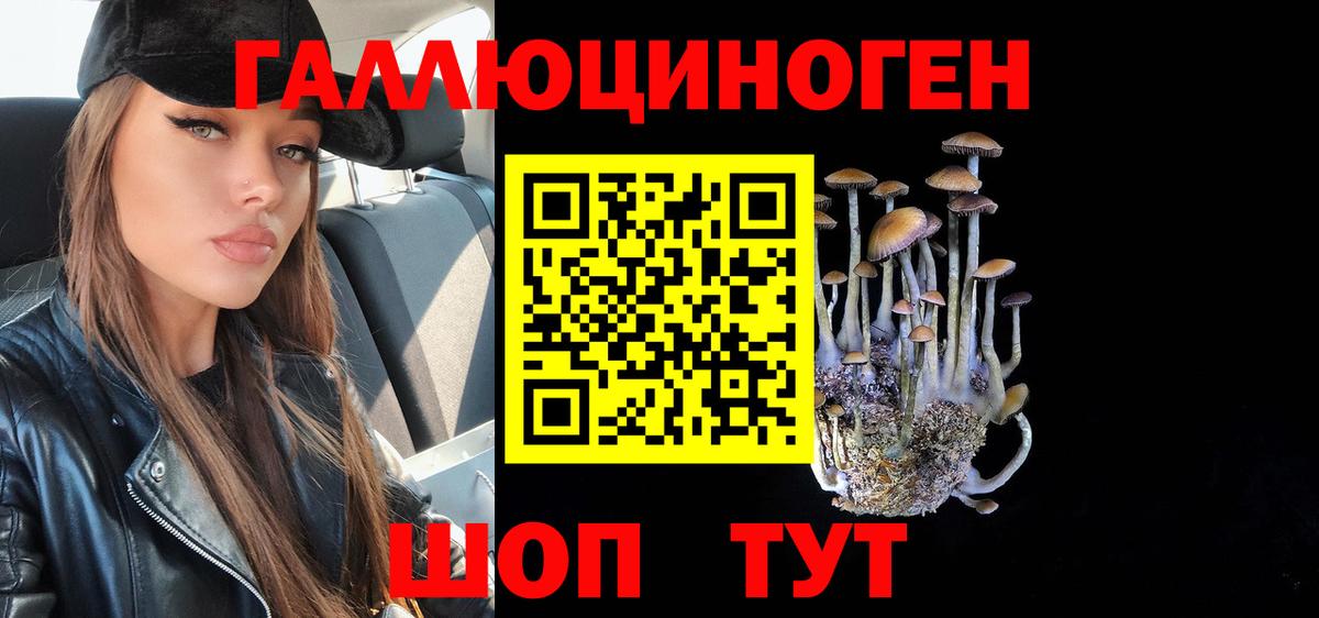 Азов  Галлюциногенные грибы GOLDEN TEACHER  Вход с VPN 